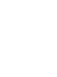 Compass Private Travel